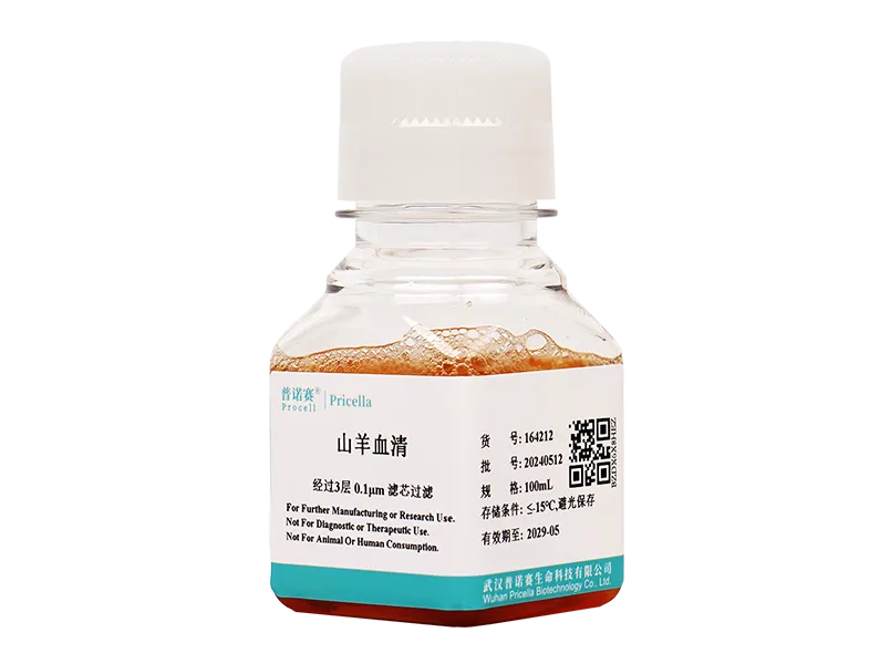 https://789.bio/ec/h1xDKO