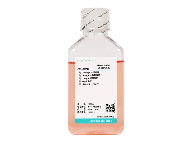https://789.bio/ec/h21Ol7Vy