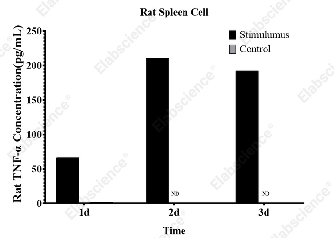 CellaQuant™ Rat TNF-α (Tumor Necrosis Factor Alpha) ELISA Kit - 4