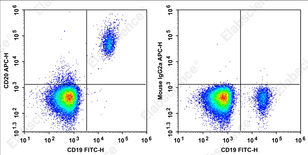 APC Anti-Human CD20 Antibody[HI20a] - 1