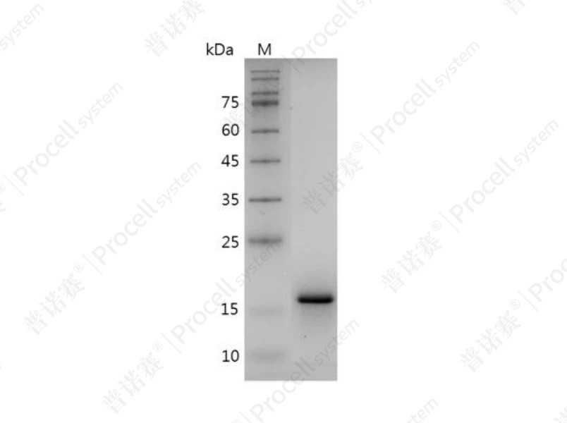 https://789.bio/ec/h5lW5K