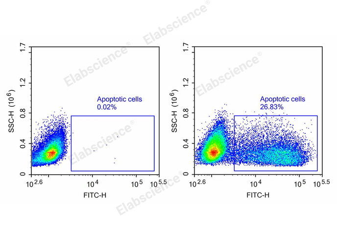 One-step TUNEL Flow Cytometry Apoptosis Kit (Green, FITC)-1