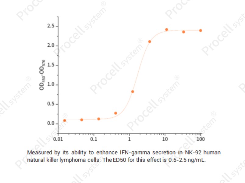 IL-18/IGIF/IL-1g/IL1F4, Human, RecombinantIL-18/IGIF/IL-1g/IL1F4, Human, Recombinant - 2