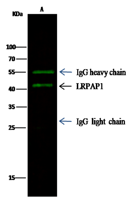 loading
