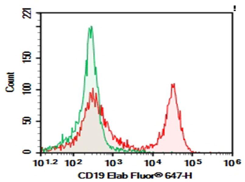 Purified Anti-Mouse CD19 Antibody[1D3]-1