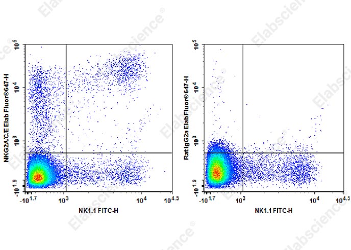 Elab Fluor® 647 Anti-Mouse NKG2A/C/E Antibody[20d5]-1