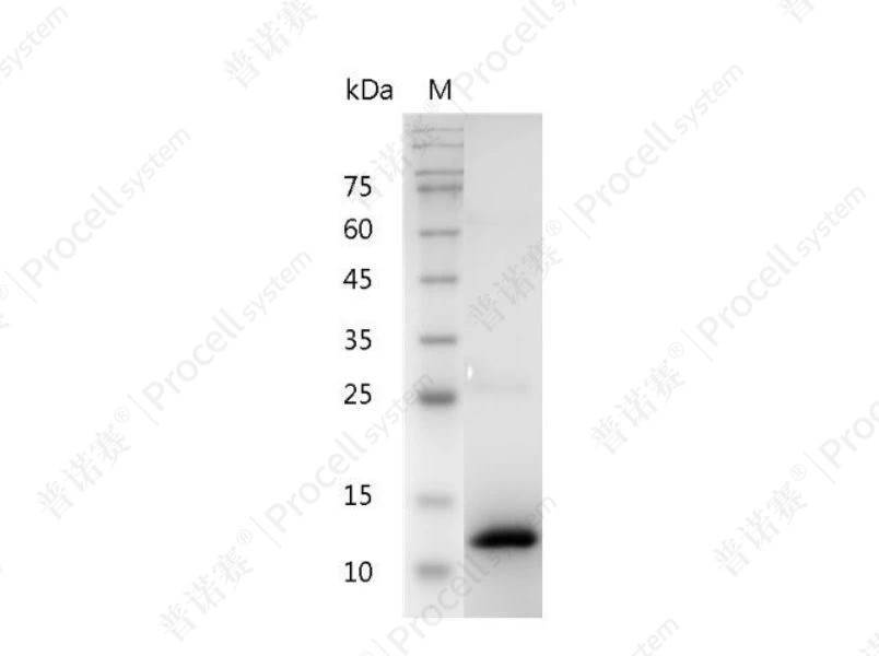 https://789.bio/ec/hDZSlH
