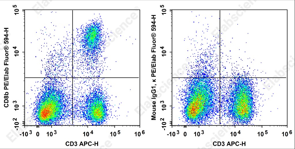 PE/Elab Fluor<sup>&reg;</sup>594 Anti-Rat CD8b Antibody[341] - 1