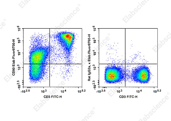 Elab Fluor® 700 Anti-Mouse CD90 Antibody[M5/49.4.1]-1