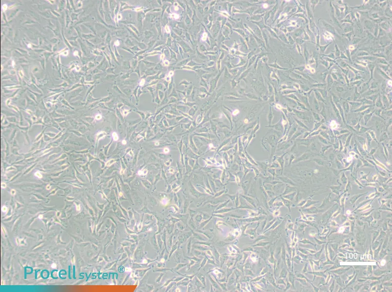 KTC-1KTC-1 - 2