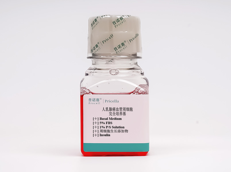 https://789.bio/ec/hPKdP8