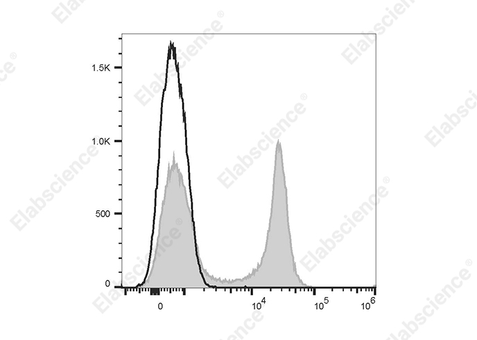 APC Anti-Mouse CD22 Antibody[Cy34.1]-1