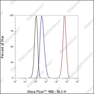 Recombinant SATB1 Monoclonal Antibody - 3