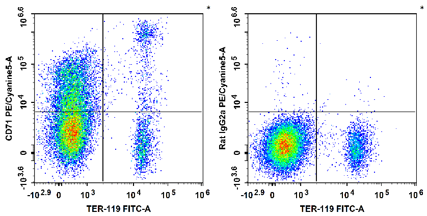 PE/Cyanine5 Anti-Mouse CD71 Antibody[R17 217.1.3/TIB-219]-1
