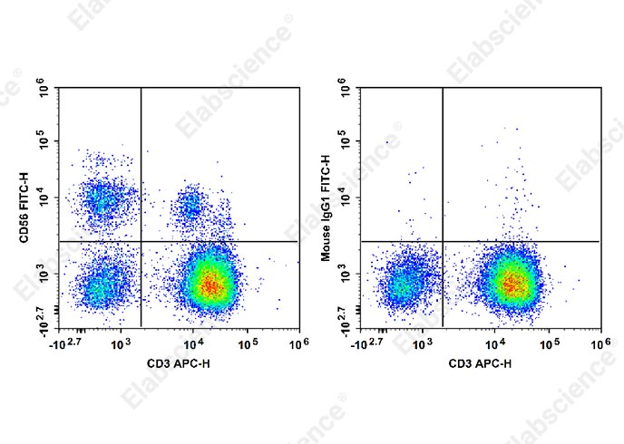 FITC Anti-Human CD56/NCAM Antibody[5.1H11]-1
