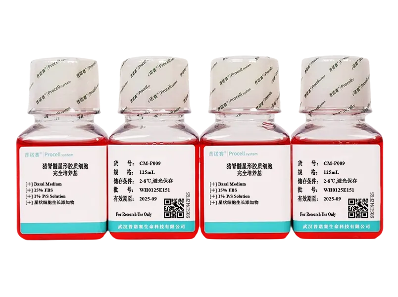 Porcine Spinal Cord Astrocyte Complete Medium - 2