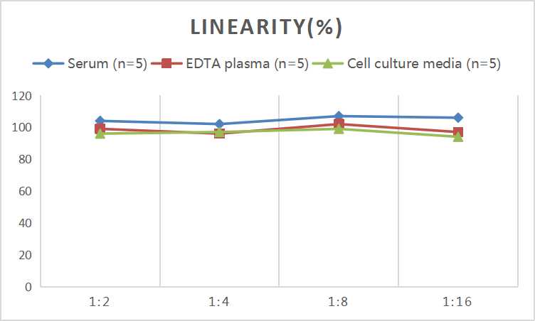 Mini Sample Rat TIMP-1 (Tissue Inhibitors of Metalloproteinase 1) ELISA Kit - small - 2