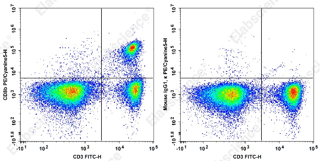PE/Cyanine 5 Anti-Rat CD8b Antibody[341] - 1