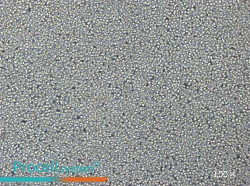 NCI-H929 Cell Complete Medium - 1