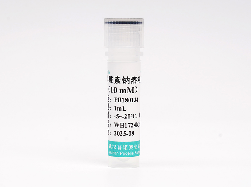 https://789.bio/ec/hq5xiP