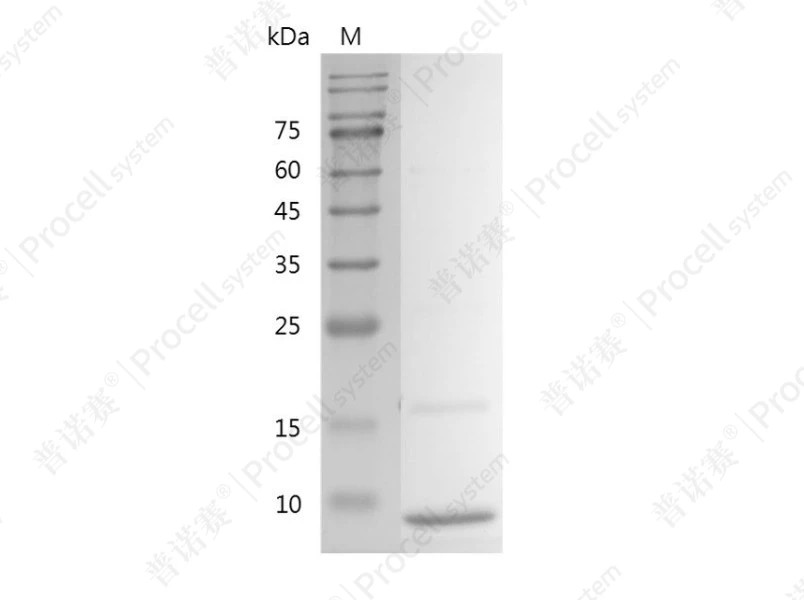 https://789.bio/ec/hqLxL4