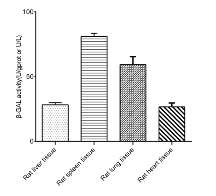 γ-Glutamyl Transferase (GGT/γ-GT) Activity Assay Kit-产品推荐-5