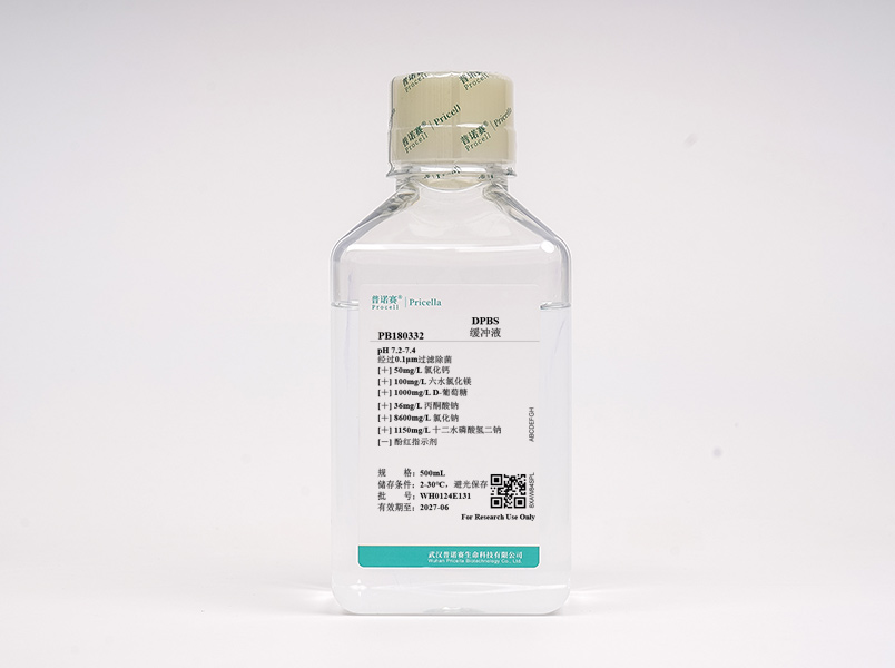 https://789.bio/ec/huW1dL