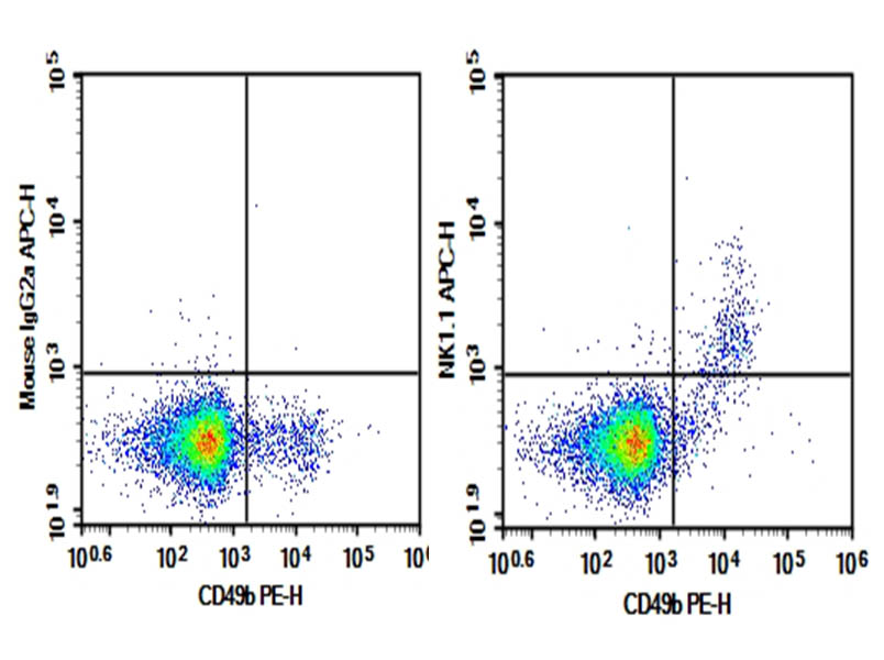 Purified Anti-Mouse CD161/NK1.1 Antibody[PK136], Functional Grade - 1