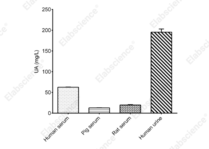 Uric Acid (UA) Colorimetric Assay Kit - 2