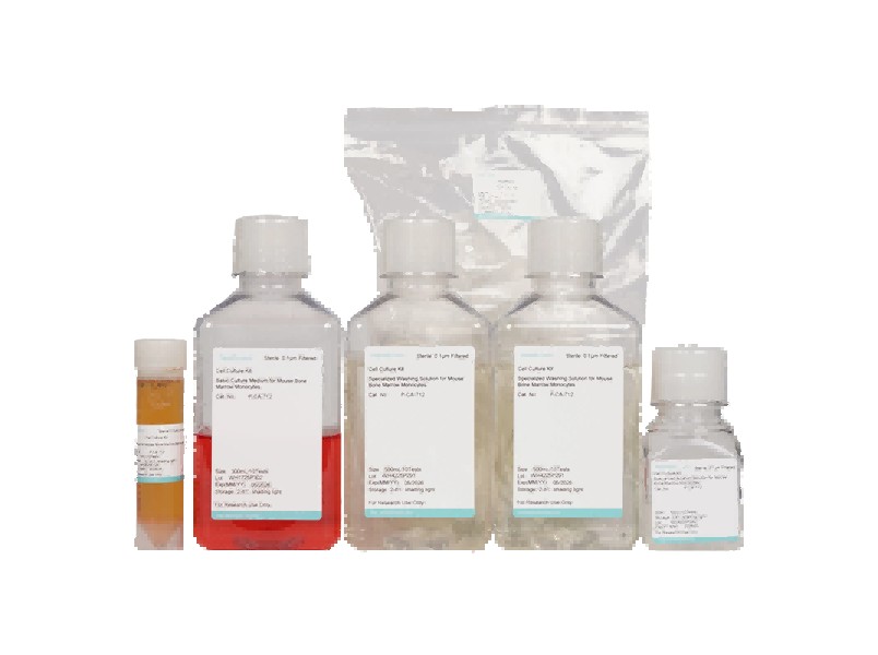 Mouse Bone Marrow Monocyte Isolation and Culture Kit - 2