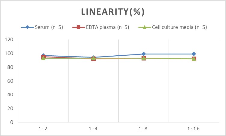 Human Cytomegalovirus (HCMV) IgG ELISA Kit-产品推荐-3
