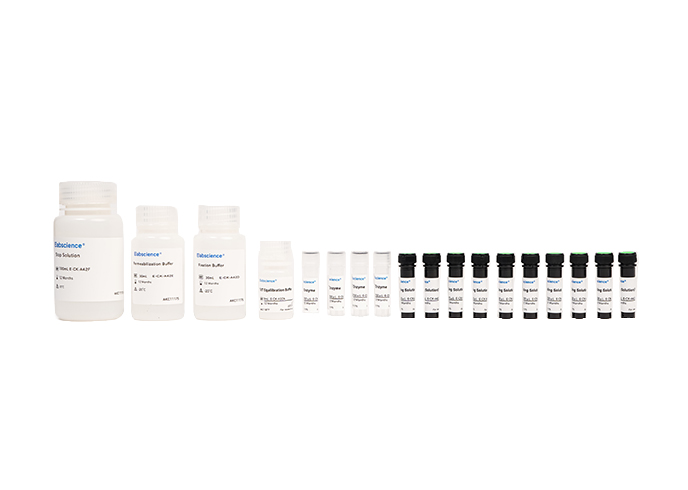 One-step TUNEL Flow Cytometry Apoptosis Kit (Green, FITC)