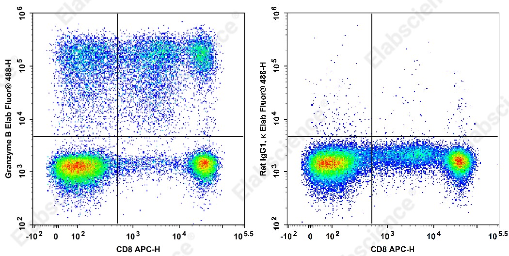 Elab Fluor<sup>&reg;</sup>488 Anti-Human Granzyme B Antibody[QA18A28] - 1