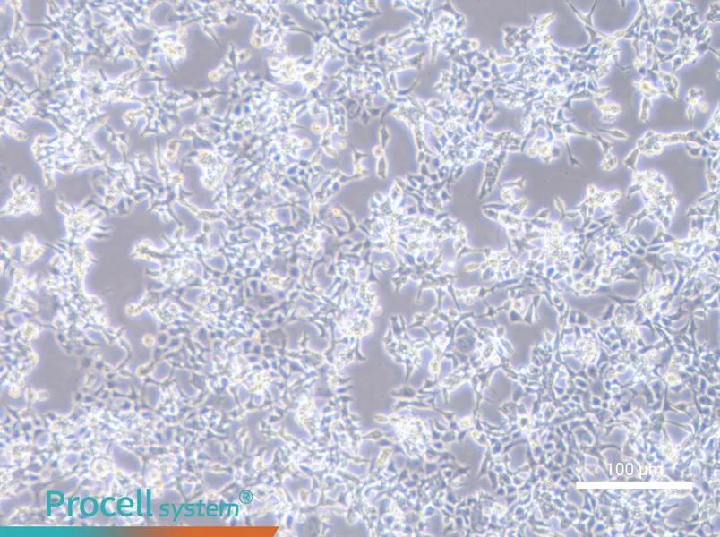 D283 MedD283 Med - 3