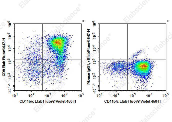 Staining of Rat bone marrow cells with Elab Fluor<sup>&reg;</sup>Violet 450 Anti-Rat CD11b/c Antibody and Elab Fluor<sup>&reg;</sup>647 Anti-Rat CD9 Antibody[2A1/CD9] (left) or Elab Fluor<sup>&reg;</sup>647 Mouse IgG1, &kappa; Isotype Control (right). Cells in the granulocytes gate were used for analysis.