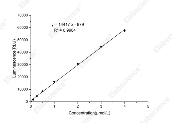 Enhanced ATP Chemiluminescence Assay Kit - 1