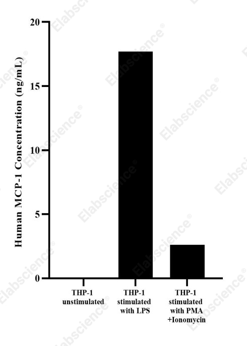 Uncoated Human MCP-1(Monocyte Chemotactic Protein 1) ELISA Kit - 3