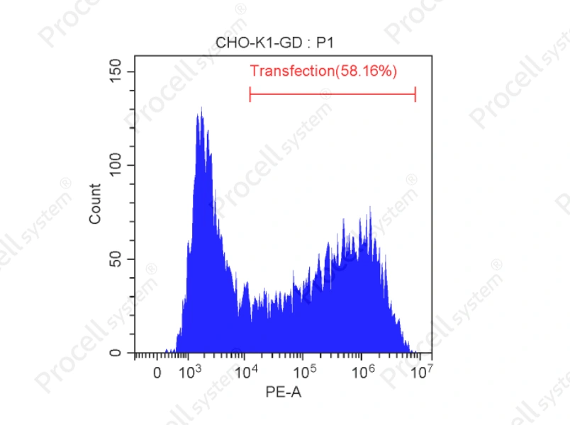 Mergene1000<sup>&reg;</sup> CHO-K1 Cell-Specific DNA Transfection Reagent - 2