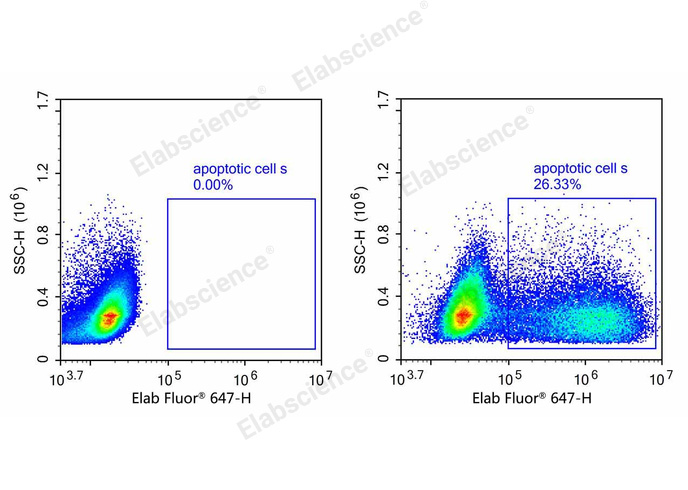 One-step TUNEL Flow Cytometry Apoptosis Kit (Red, Elab Fluor® 647)-1