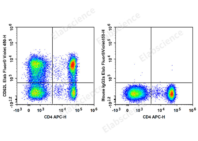 Human peripheral blood lymphocytes are stained with APC Anti-Human CD4 Antibody and Elab Fluor® Violet 450 Anti-Human CD62L Antibody[HI62L] (Left). Lymphocytes are stained with APC Anti-Human CD4 Antibody and Elab Fluor® Violet 450 Mouse IgG2a, κ Isotype Control (Right).