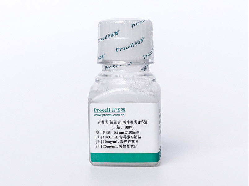 https://789.bio/ec/iDxSZS
