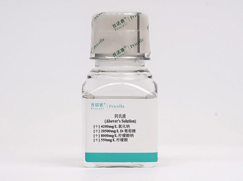 https://789.bio/ec/iH4ChP