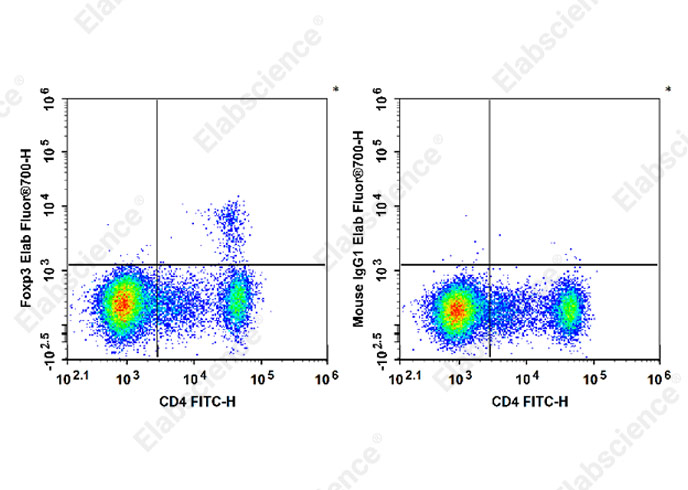 Elab Fluor® 700 Anti-Mouse Foxp3 Antibody[3G3]-1