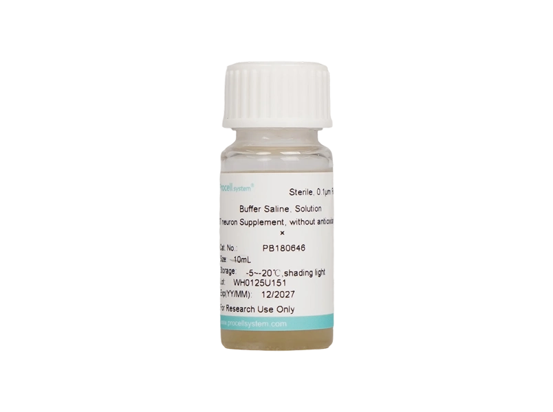 B-27 neuron Supplement, without antioxidant, 50 &times;