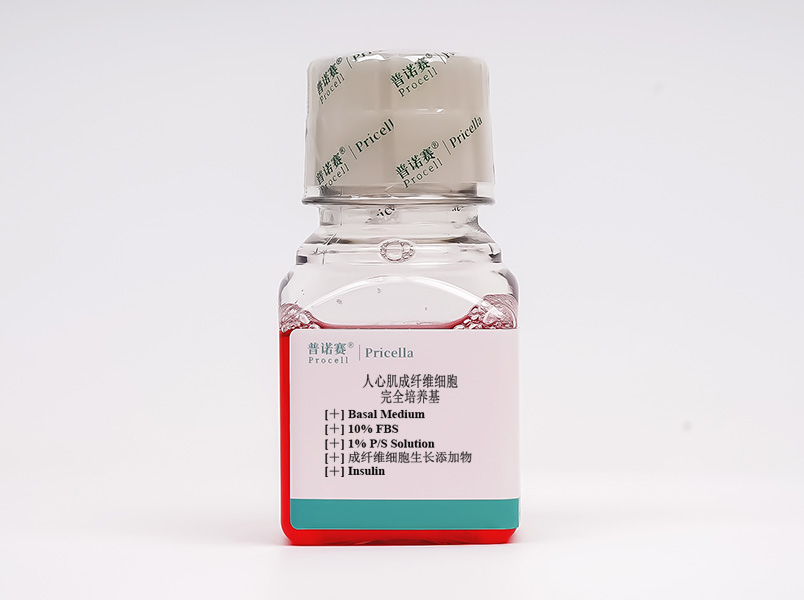 https://789.bio/ec/iLKxS4