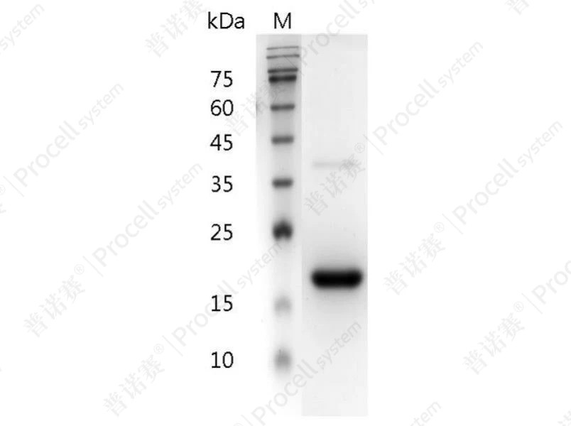 https://789.bio/ec/iLpLd1