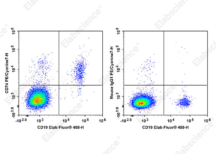 Purified Anti-Human TCRγ/δ Antibody[B1]-产品推荐-1