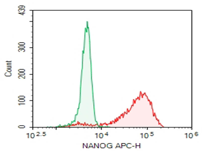 NTERA-2 cells were stained with 0.2 ug Purified Anti-Human NANOG Antibody[23D2-3C6] (Right) and 0.2 ug Mouse IgG1, &kappa; Isotype Control(Left), followed by APC-conjugated Goat Anti-Mouse IgG Secondary Antibody.