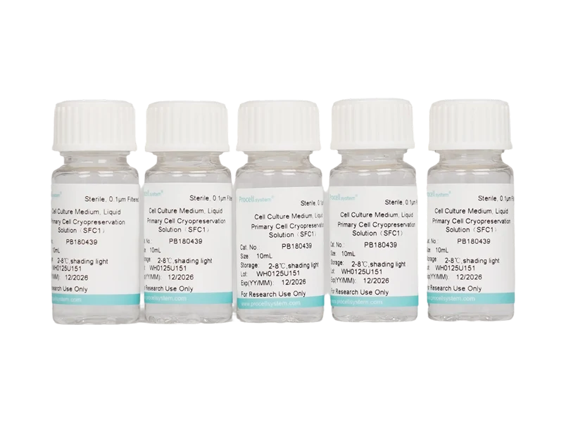 Primary Cell Cryopreservation Solution（SFC1）