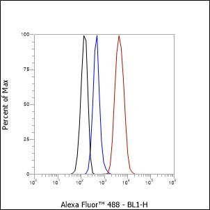 Recombinant hCG beta Monoclonal Antibody - 3